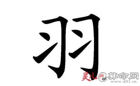 帶羽的名字|帶羽字的名字